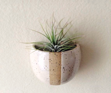 Load image into Gallery viewer, Ceramic Planter Workshop(Ages 18+) Annex
