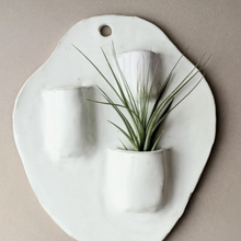 Load image into Gallery viewer, Ceramic Planter Workshop(Ages 18+) Annex
