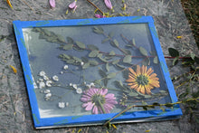 Load image into Gallery viewer, Kids Cyanotype and Botanical Printmaking Class (ages 5-10)
