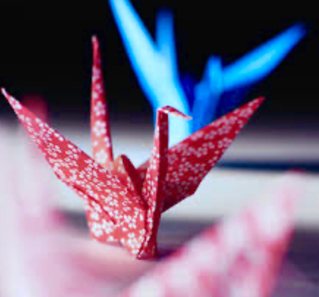 Origami (Ages 6-15) Annex